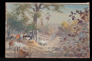 Cattle, Jambughoda by Tim Scott Bolton